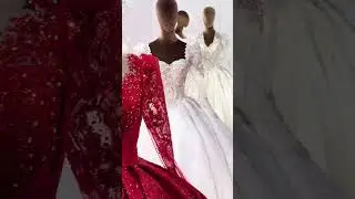 Amanda Novias 2024 wedding dress collection say yes to the dress