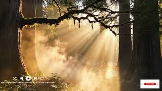 Guitar serenade vào lúc hoàng hôn - vùng nông thôn yên bình