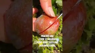 Fresh Peach health benefits পিচ ফল এর স্বাস্থ্য উপকারিতা #youtubeshorts #fruit #foryou  #birdsounds