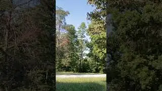 Greenworks electric mower over 400 hours with original battery still going strong