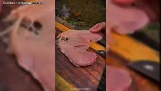 Eps1 ||Asmr outdoor cooking sambil cerita horror‼️👻#ceritahoror#hororstory#podcasthororindonesia#fyp