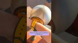 This is how Disney uses your Magic Band to track you #disneysecrets #disneyfacts #waltdisneyworld