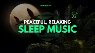 The Best Relaxing Meditation music Zen 4K/ Rain in a Cozy Conservative Room nice and cooling music