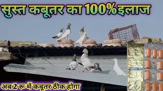 100% correct treatment for lethargy || Medicine for lethargy ||