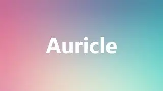 Auricle - Medical Definition