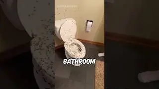 They Returned From Vacation And Saw THIS! 😱🕷️ (@jayshukofficial)