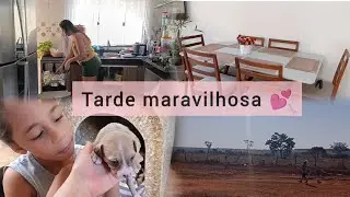 Limpeza e organização antes de passear 💕