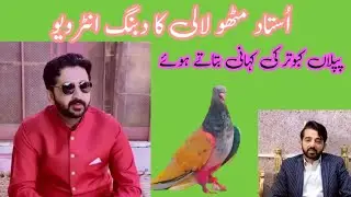 Ustad Metho Lali And Hassan Lali Interview Pamoz pigeon Club?