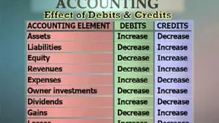 Entrepreneurs in Action - Accounting