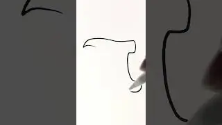 One line design | Pi