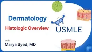 Basics of Skin Anatomy | Dermatology, Cellular Junctions, Key USMLE Concepts | Case 4 Review