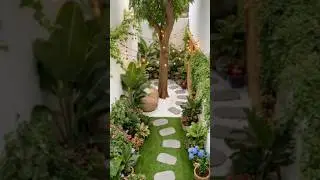 From weeds to a blooming garden 🌸⏳ | Timelapse#GardenMakeover #Timelapse #NatureInspo #PlantLife