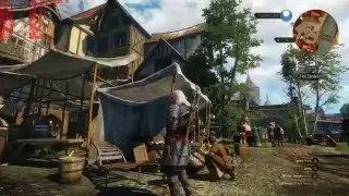 witcher 3 cpu utilization (fx8350)& framerate (390x msi) win10