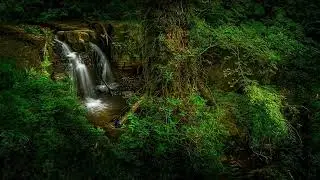 Peaceful Piano & Ambient Music &ndash; Grace Within for Relaxation