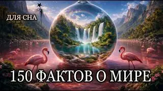 ЛЕКЦИЯ ДЛЯ СНА😴150 фактов о мире, которые должен знать каждый