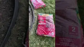 Garden Project #makeover #diy #landscape #plants #garden #viralvideo #flowers #cheap #easy #soil