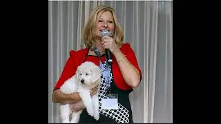 Unleashing Kindness: How Service Dogs Transform Lives
