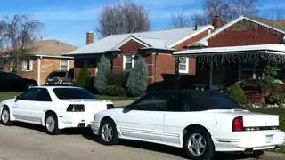 The W-body