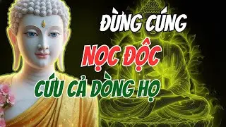 Phật Dạy Đừng Mang Nọc Độc Lên Mâm Cơm Cúng   Cách Buông Bỏ Để Giải Nghiệp Oan Khiên Cho Cả Gia Tộc