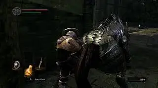 [Dark Souls] Pig Fisting 101