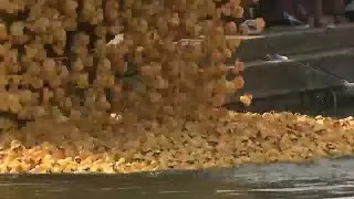 Second Harvest Food Bank&rsquo;s Rubber Duck Derby