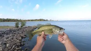 Strike King Chick Magnet JR.  Review! What are my thoughts on it?