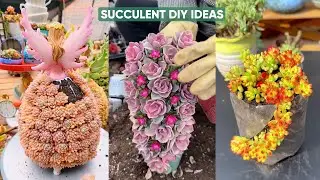 Вдохновение для создания композиции из суккулентов своими руками, которое стоит попробовать прямо