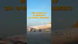 В Европу за очень дешево ✈️ #обзор #лоукостер #пегасус #pegasus #путешествия #европа #travel