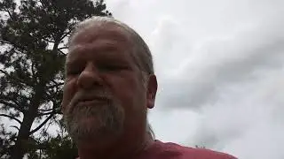The Patriot movement