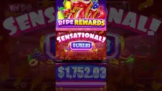 Ripe Rewards Slot Big Win  #bigwin #slots #riperewards