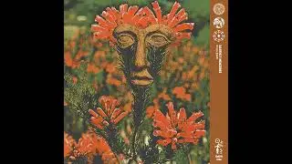 Earthly Measures & OKRAA - Que? (Olsvangèr Wildwood Dub)