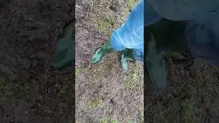 Stuck #mud