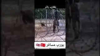 iran to #turkey border #videos #duet #viralreels #europe