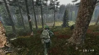 DayZ Bear VS KAM