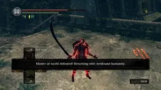 DARK SOULS: REMASTERED Sl75 Middle Weight Murakumo PVP OOLACILE