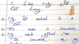 5 lines on pet cat 5 lines about pet cat SR Handwriting