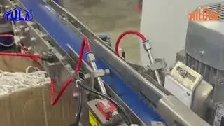 Cap Handling Applicator with Camera System | Auto Positioning & Orientation Correction