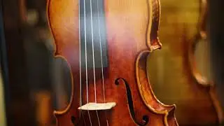 Black Friday 2020 - Plum Grove Music
