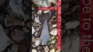 Amazing Creek Find: Arrowhead hunting