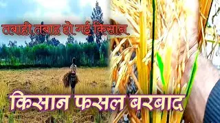 Revenge of the Farmer: Crop Destruction Payback