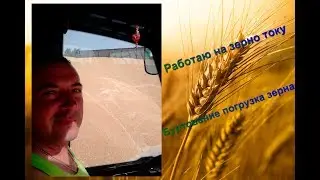 Уборочная. Работаю на зерно току   Буртование погрузка зерна