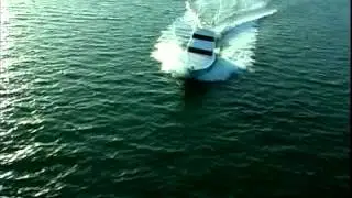 Sea Force IX Flamingo Daze