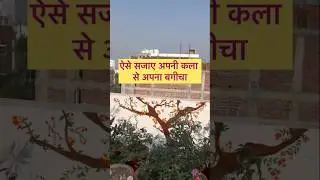 How to decorate your garden wall from painting#tips #newideas#innovativeidea #youtubeshort #best