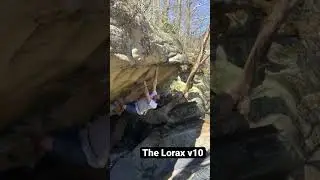 The Lorax, v10 - NRG