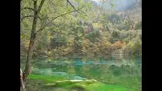 Five Flower Lake in Jiuzhaigou
