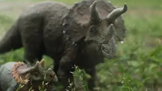 Triceratops Joust