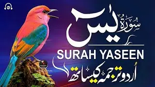 Surah Yasin (Yaseen) with Urdu Tarjuma | Beautiful Quran Tilawat | Quran with Urdu Hindi Translation