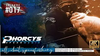 🐟 Phorcys Spearmedia #017 🌍 Blidge pumps 🎬 Oxygen transfer in our body 🎥 Spearfishing in Snow ❄️⛄️