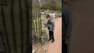Touching a Cactus