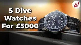Top 5 Dive Watches Under £5,000 (5 for 5 Series - Episode 1)